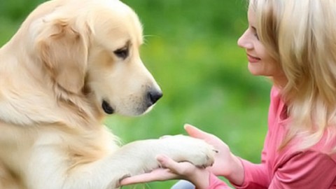 Six ways in which our pets improve our health