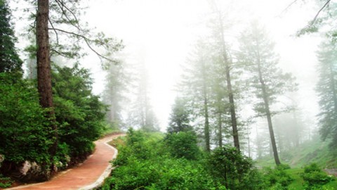 Daringbadi – Kashmir of Odisha