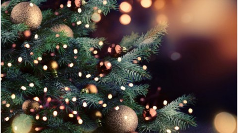 Around the world in Christmas Days!