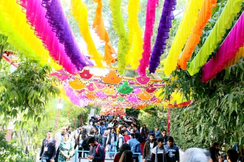 COLOURS OF JAIPUR LITERATURE FESTIVAL 2020